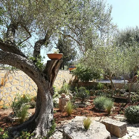 Pere Apartment