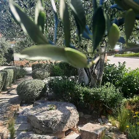 Apartament Pere *